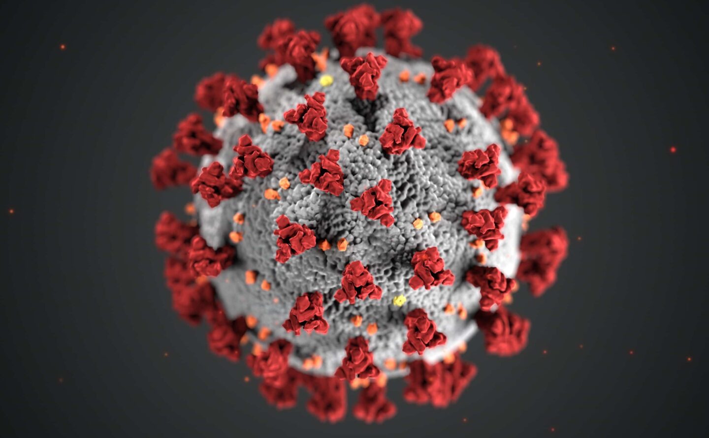 Computer render of the coronavirus.