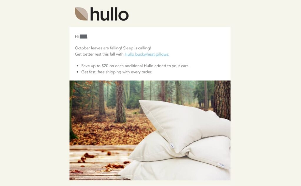Email marketing from Hullo shows a rare sale on their pillows.